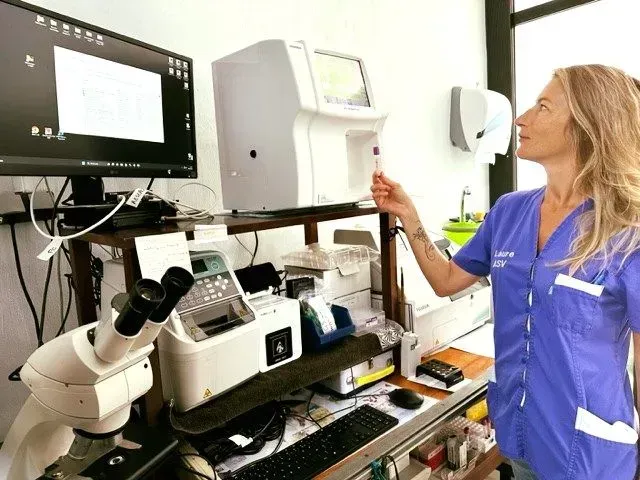 Laboratoires d'analyses pour animaux près de Saint-Paul